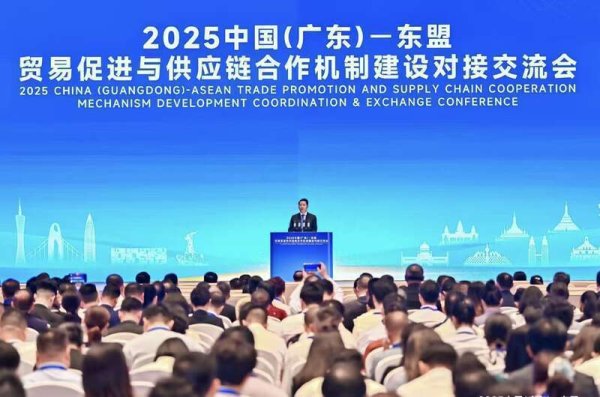 能加杠杆的炒股软件 2025中国（广东）—东盟贸易促进与供应链合作机制建设对接交流会在穗举行