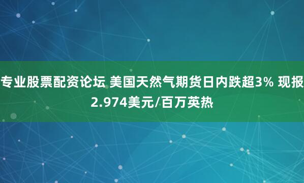 专业股票配资论坛 美国天然气期货日内跌超3% 现报2.974美元/百万英热