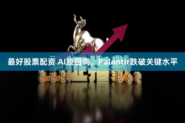 最好股票配资 AI股回调，Palantir跌破关键水平