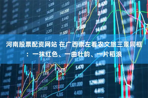 河南股票配资网站 在广西崇左看农文旅三景同框：一抹红色、一曲壮韵、一片稻浪
