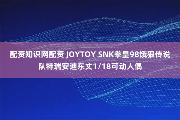 配资知识网配资 JOYTOY SNK拳皇98饿狼传说队特瑞安迪东丈1/18可动人偶